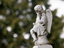 Load image into Gallery viewer, Learn To Play Amazing Grace!