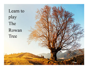 Learn To Play "The Rowan Tree"