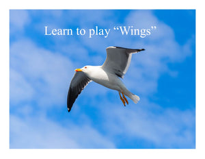 Learn to Play Wings